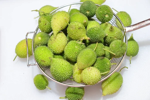 Taze yeşil dikenli su kabağı ya da beyaz arka planda çay kabağı sebzesi