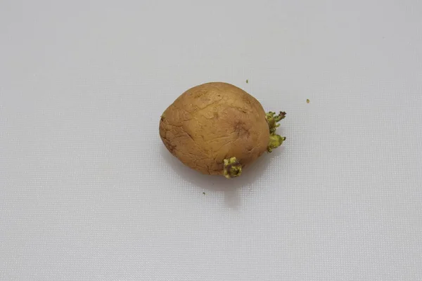 Färsk Ekologisk Potatis Isolerad Vit Bakgrund — Stockfoto