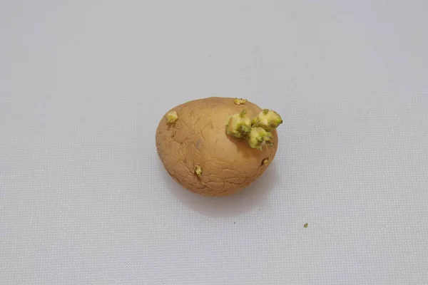 白い背景に隔離された新鮮な有機ジャガイモ — ストック写真