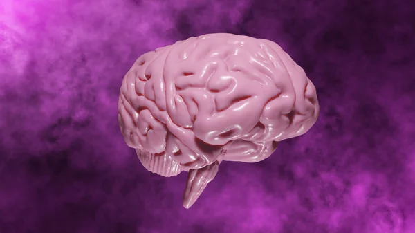 Soyut Pembe Arkaplanda Açık Pembe Renkli 8K 3D Gerçekçi Beyin