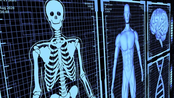 8K 3D Yapılandırılmış HUD Kas Adam Vücut, Beyin ve DNA Vücut Analizi Konsepti arka plan ver.2