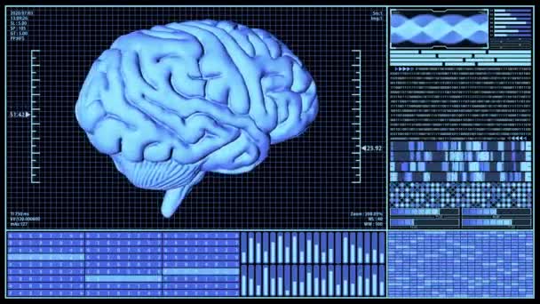 Renderelés Anatómiai Brain Forgó Futurisztikus Brain Analysis Technology Hud Koncepció — Stock videók