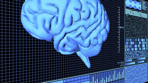Fütürist Beyin Analizi Teknolojisi HUD kavramında dönen 8K 3D Renkli Anatomik Beyin Mavi renkli ver.2