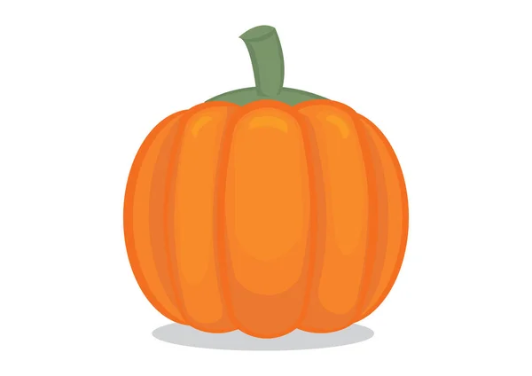 Bright Orange Pumpkin Organice Plant Food Can Use Halloween Concept — Stock Vector