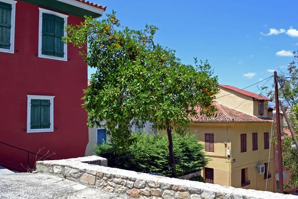 Citrus Tree Nafplio Görögország — Stock Fotó