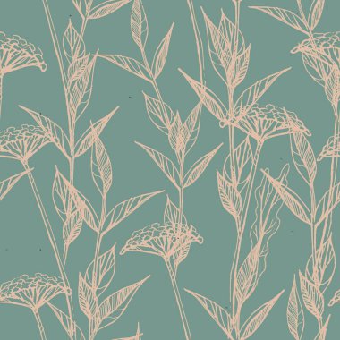 Nane, bej ve açık mavi renklerde soluk çizgili yabani tüylü bitkilerle kusursuz bir el çizimi botanik deseni. Pankart, duvar kağıdı, kapak, tekstil şablonu, çiçekli yaz illüstrasyonu, doğal tasarım.