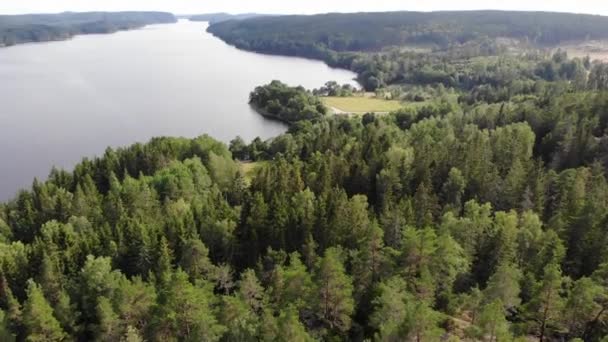 Paisaje del bosque de abeto junto al lago, ascendente aéreo — Vídeo de stock