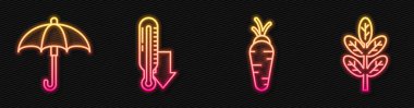 Havuç, Şemsiye, Meteoroloji Termometresi ve Yaprak ya da Yaprak. Parlayan neon ikonu. Vektör.