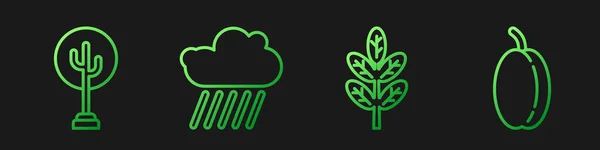 Fijar Línea Hoja Hojas Árbol Nube Con Lluvia Ciruela Iconos — Vector de stock