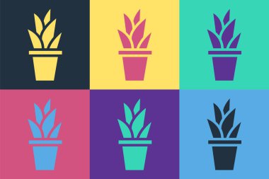 Esrar ikonundaki Pop Art Plant renkli arka planda izole edildi. Tencerede yetişen bir bitki. Saksı bitkisi işareti. Vektör İllüstrasyonu