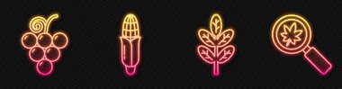 Yaprak ya da yaprak, üzüm meyvesi, mısır ve yapraklı büyüteç. Parlayan neon ikonu. Vektör