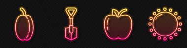 Apple, Plum meyvesi, Shovel ve Sun. Parlayan neon ikonu. Vektör.