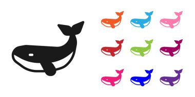 Siyah Balina simgesi beyaz arkaplanda izole edildi. Simgeleri renklendirin. Vektör.