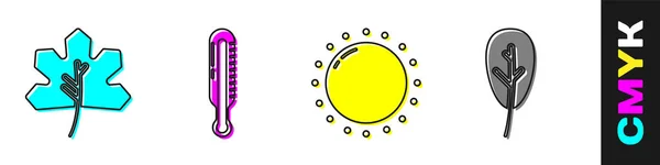 Set Blatt Oder Blätter Meteorologie Thermometer Sonne Und Blatt Oder — Stockvektor