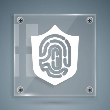 Beyaz koruma kalkanı, gri arkaplanda izole edilmiş parmak izi ikonu. Kimlik uygulaması simgesi. Kimlik işareti. Güvenlik parmak taraması konsepti. Kare cam paneller. Vektör.