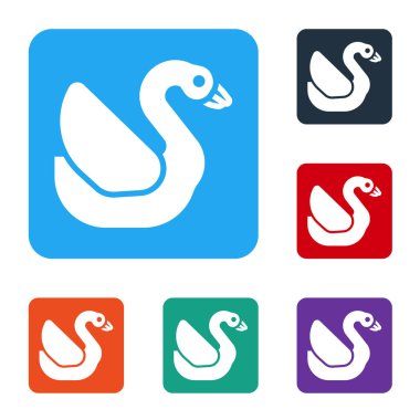 Beyaz arka planda Beyaz Kuğu ikonu izole edildi. Hayvan sembolü. Renkli kare düğmelerle simgeleri ayarla. Vektör.