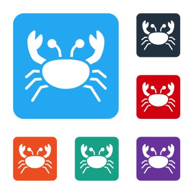 Beyaz Yengeç simgesi beyaz arkaplanda izole edildi. Renkli kare düğmelerle simgeleri ayarla. Vektör.