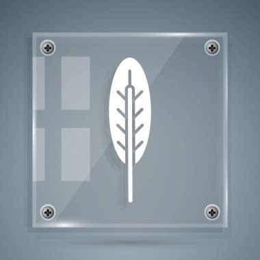 Beyaz Hint tüyü ikonu gri arkaplanda izole edilmiş. Amerikan yerlilerinin etnik sembolü. Kare cam paneller. Vektör.