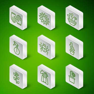 Cactus peyote in pot stand üzerinde bitki lastik eldivenler böcek ilacı şişesi çiçek ve ikon. Vektör.