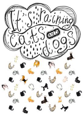 Lettering - It's raining cats and dogs. Falling raindrops with cats and dogs.  clipart