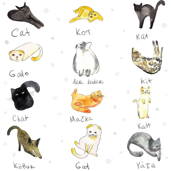 Lindos Gatos Divertidos Gato Diferentes Idiomas Acuarela Dibujado Mano Illustration —  Fotos de Stock