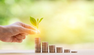 El madeni paralardan büyüyen bozuk paraların üzerine para koyuyor. Basamaklar büyüyor. Tahta panelden tasarruf ediliyor..