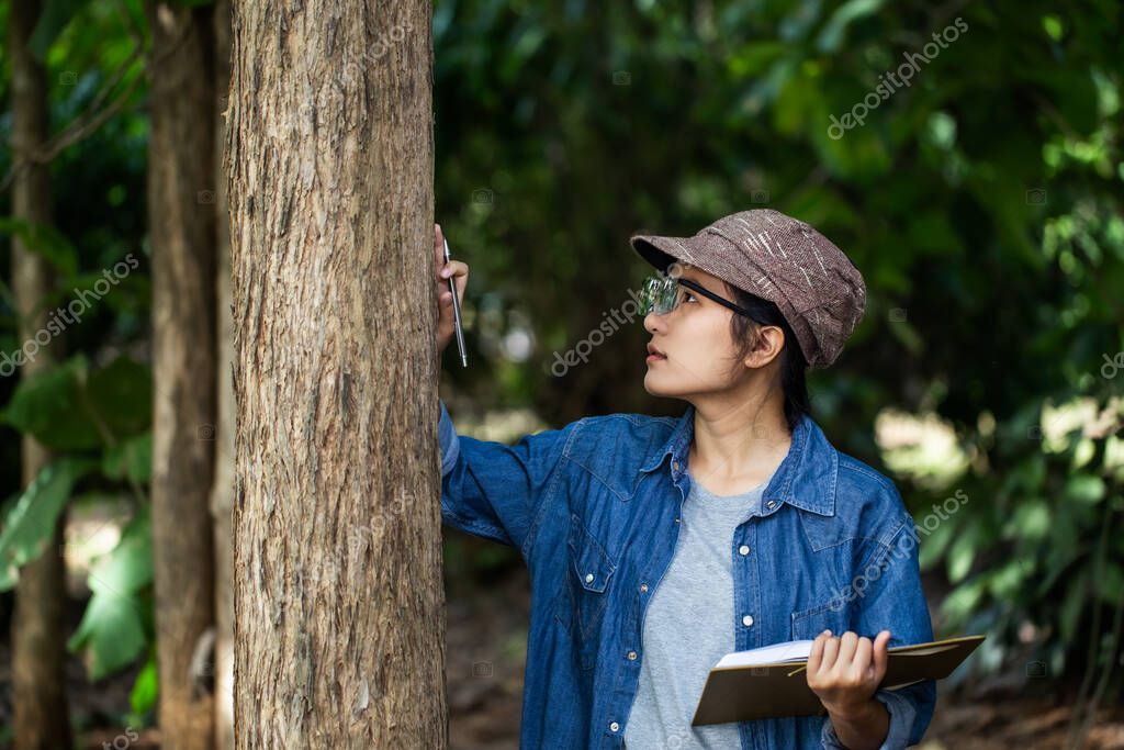 Las botánicas están mirando la corteza de los árboles para hacer notas