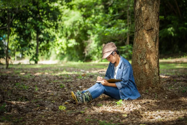 Botanists Research Sitting Trees Recording Changes Nature Forest — Stock Photo, Image