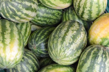 Arkaplan olarak meyve pazarı kullanan birçok karpuz.