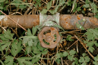 Botanik parkındaki paslı musluk.