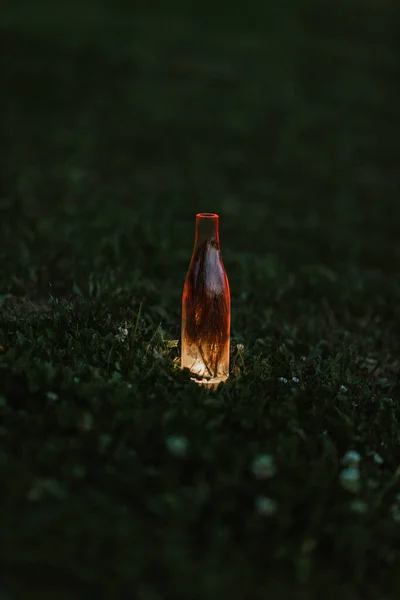 Скляна ваза в траві просвітлена знизу — стокове фото