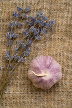 Taze sarımsaklı lavanta.