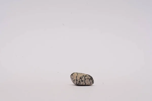 Piedra de mar sobre fondo blanco —  Fotos de Stock