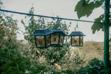Köyde üç sevimli arı feneri asılı.