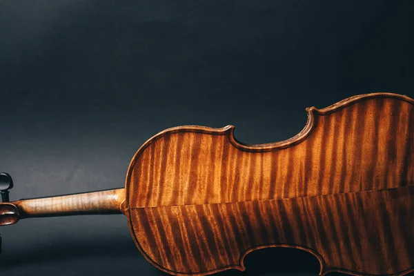 Achterkant van een prachtige viool op de achtergrond blackground — Stockfoto