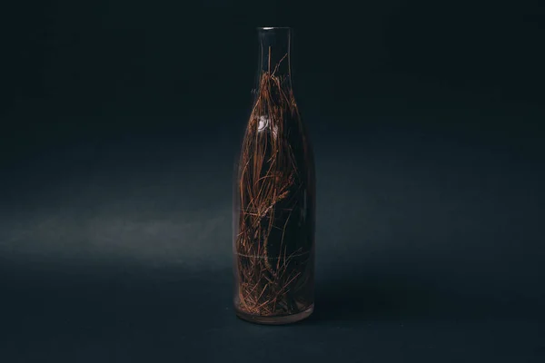 Glasflasche gefüllt mit trockenen Pflanzen zur Dekoration — Stockfoto