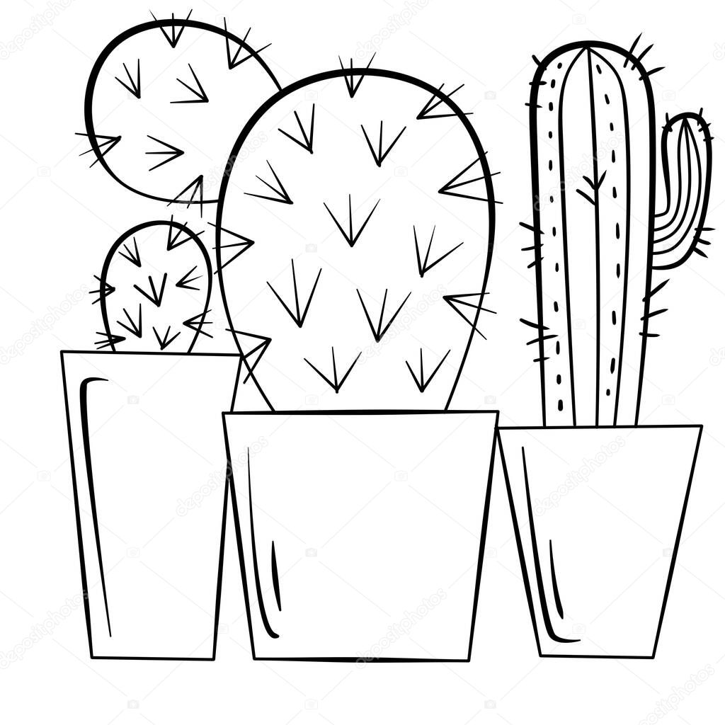 ontour Illustration of cactuses in pot on white background. Postcard, stickers and logo design.