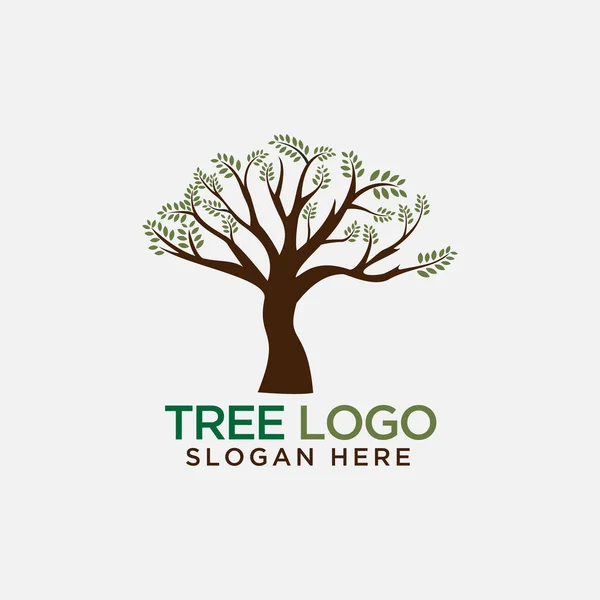 Albero Logo Design Vettore Albero Sagoma Modello Moderno — Vettoriale Stock