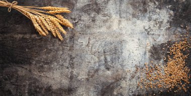 Buğday bitkisinin olgun kulaklarını kapatın. Kırsal metal arka planda altın çiviler ve tahıllar. Reklam metniniz için üst görünüm ve kopyalama alanı.