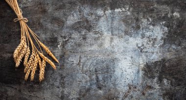 Buğday bitkisinin olgun kulaklarını kapatın. Kırsal metal arka planda altın çiviler. Reklam metniniz için üst görünüm ve kopyalama alanı.