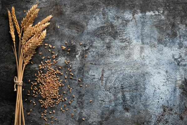 Buğday bitkisinin olgun kulaklarını kapatın. Kırsal metal arka planda altın çiviler ve tahıllar. Reklam metniniz için üst görünüm ve kopyalama alanı.