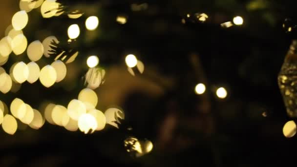 Detalle Del Árbol Navidad Video Adornos Luces Agujas Profundidad Superficial — Vídeos de Stock