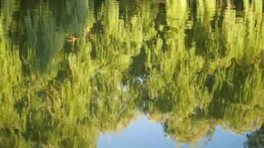 Gün batımında ağaçların ve gökyüzünün yansımasıyla göl. Işık dalgaları resmi bulanıklaştırır.