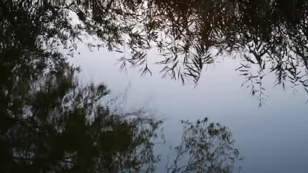 Sjön Med Spegling Träd Och Himmel Ljusvågor Vatten Suddar Bilden — Stockvideo