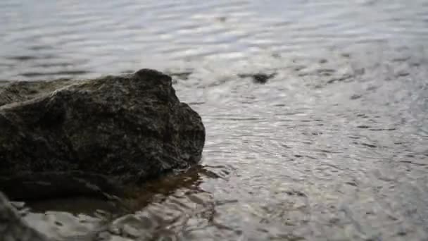 Langzaam Drijvende Golven Van Een Grote Rivier Drempels Stenen Rimpels — Stockvideo