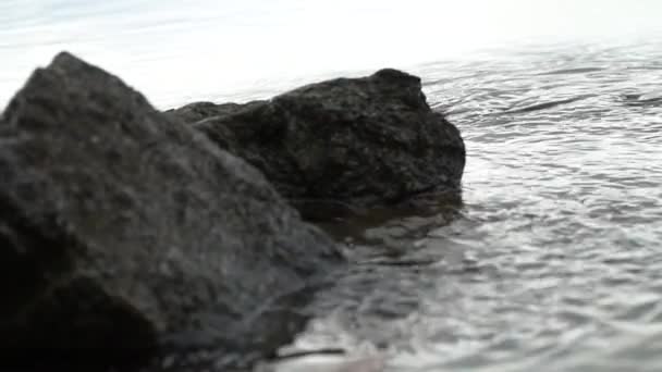 一条大河的波浪缓缓漂流 雨天水面上的门槛 石头和波纹 在雨中在桥上钓鱼 — 图库视频影像