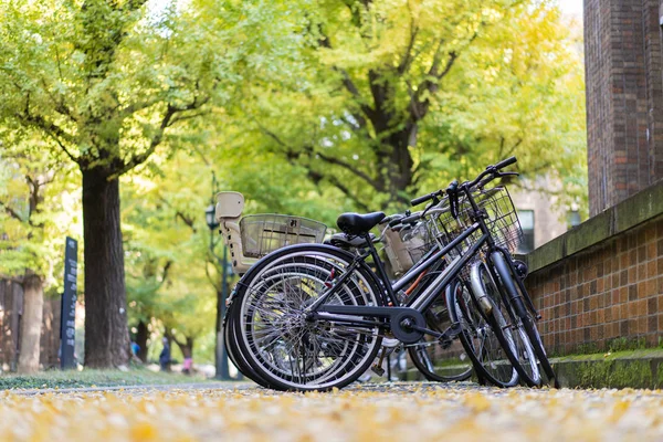 Tokyo Japon Novembre 2018 Parking Vélos Université Tokyo Avec Des — Photo