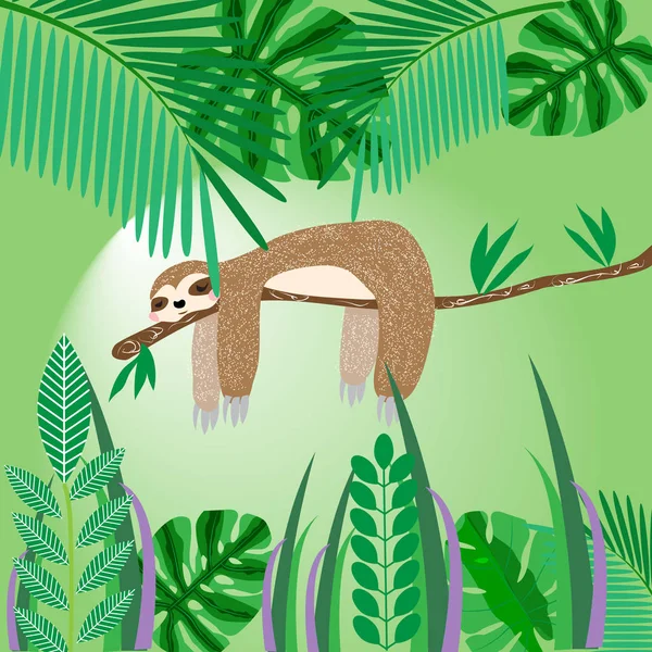 Χαριτωμένο Νωθρότητα Στον Ύπνο Ένα Δέντρο Στη Ζούγκλα Εικονογράφηση Διάνυσμα — Διανυσματικό Αρχείο