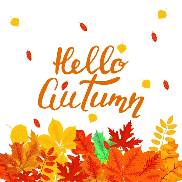 Banner Com Folhas Outono Coloridas Para Design Brilhante Sazonal Ilustração —  Vetores de Stock