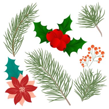 Noel ağacı dalları Noel dekorasyonu için ayarla. Dalları yakın çekim. Çamın dalları topluluğu. Vektör Noel grafik elemanları ayarlayın. Neşeli Noel tasarım davet ve tebrik kartı, baskılar ve posterler için. Çizilmiş kış bitkileri el